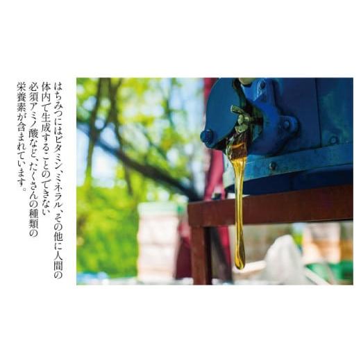 ふるさと納税 加工品等 はちみつ 岩手県 滝沢市 岩手県産 非加熱 はちみつ そば 300g 2本 ／ 大西養蜂場 蕎麦 ソバ ２本 セット 蜂蜜 ハチミツ 国産 国産はち…の画像