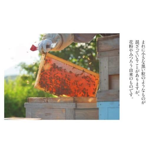 ふるさと納税 加工品等 はちみつ 岩手県 滝沢市 岩手県産 非加熱 はちみつ そば 300g 2本 ／ 大西養蜂場 蕎麦 ソバ ２本 セット 蜂蜜 ハチミツ 国産 国産はち…の画像