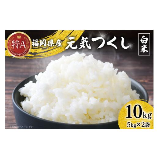 ふるさと納税 米 福岡県 宇美町 米 令和7年 白米 元気つくし 5kg 2袋 計 10kg ベネフィス 福岡県 宇美町 um40azp190011 令和7年産 お米 ご飯 コメ ごはん