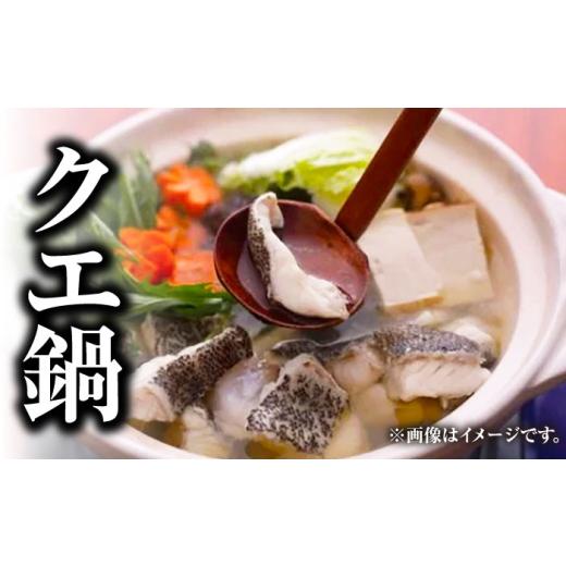 ふるさと納税 旬の鮮魚等 長崎県 対馬市  全6回定期便 対馬産 天然 クエ 1kg（500g×2）（切り身）《対馬市》 石川水産 鍋 水炊き 鮮度抜群 海鮮 クエ 天然ク…_3