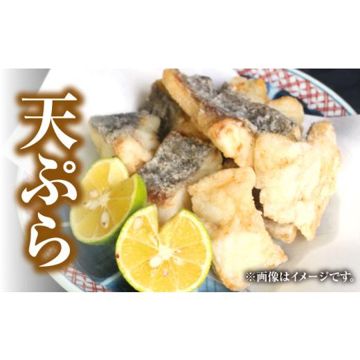 ふるさと納税 旬の鮮魚等 長崎県 対馬市  全6回定期便 対馬産 天然 クエ 1kg（500g×2）（切り身）《対馬市》 石川水産 鍋 水炊き 鮮度抜群 海鮮 クエ 天然ク…_6