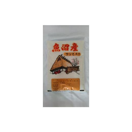 ふるさと納税 米 コシヒカリ 新潟県 南魚沼市 令和7年新米 魚沼産しおざわコシヒカリ白米5kg