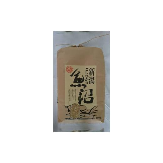 ふるさと納税 玄米 新潟県 南魚沼市 令和7年新米 魚沼産しおざわコシヒカリ玄米10kg