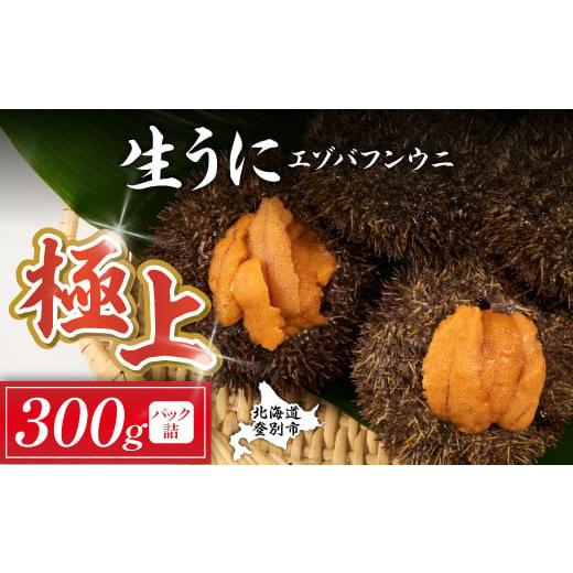 ふるさと納税 ウニ 北海道 登別市 4月-5月発送 極上 エゾバフンウニ 300g(パック詰)配送期間D:4月上旬〜5月下旬迄 高級 うに ウニ 雲丹 生うに バフンウニ…