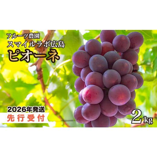 ふるさと納税 ぶどう 広島県 三原市 先行受付 ピオーネ2kg 2026年8月中旬以降順次発送予定 ぶどう ブドウ 葡萄 ピオーネ 果物 フルーツ 新鮮 産地直送 広島県…