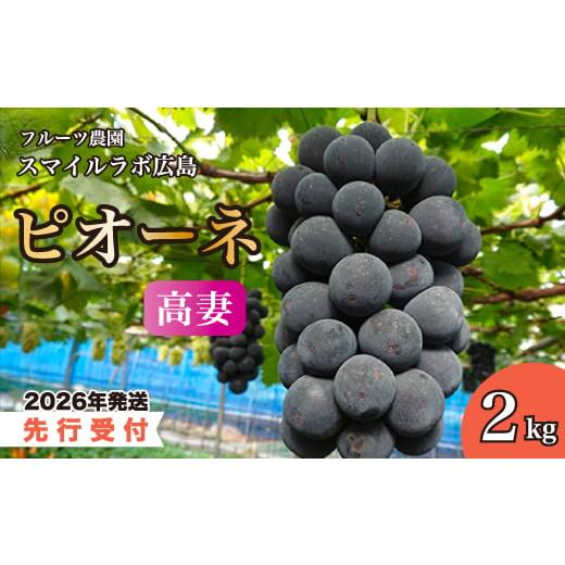 ふるさと納税 ぶどう 広島県 三原市 先行受付 高妻(ピオーネ)2kg 2026年9月以降順次発送予定 ブドウ 葡萄 ぶどう 高妻 フルーツ 果物 新鮮 産地直送 広島県…