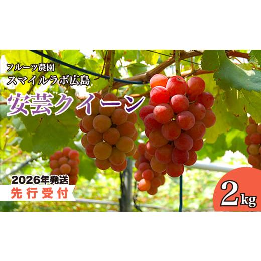 ふるさと納税 ぶどう 広島県 三原市 先行受付 安芸クイーン 2kg 2026年9月上旬以降順次発送予定 ブドウ 葡萄 ぶどう フルーツ 果物 安芸クイーン 新鮮 産地直…