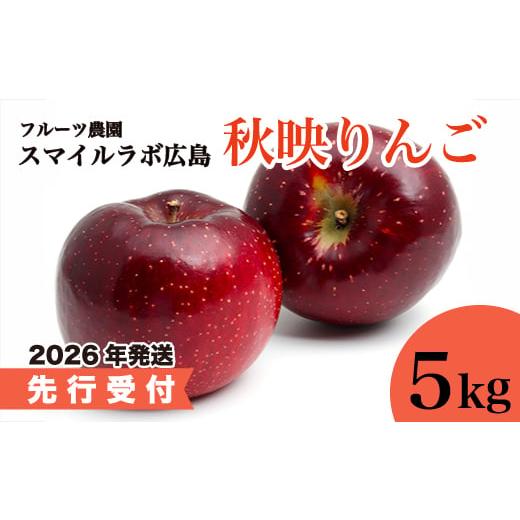 ふるさと納税 りんご 広島県 三原市 先行受付 秋映(あきばえ) 5kg 2026年10月〜順次発送予定 りんご リンゴ 林檎 果物 フルーツ 新鮮 産地直送 広島県三原…