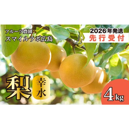 ふるさと納税 梨 広島県 三原市 先行受付 幸水(こうすい)4kg 2026年8月下旬以降順次発送予定 梨 ナシ なし フルーツ 果物 新鮮 産地直送 広島県三原市 0590…