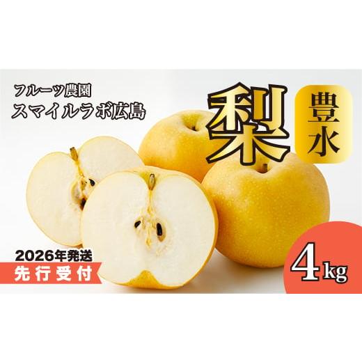 ふるさと納税 梨 広島県 三原市 先行受付 豊水(ほうすい)4kg 2026年9月上旬順次発送予定 梨 ナシ なし フルーツ 果物 新鮮 産地直送 広島県三原市 059010