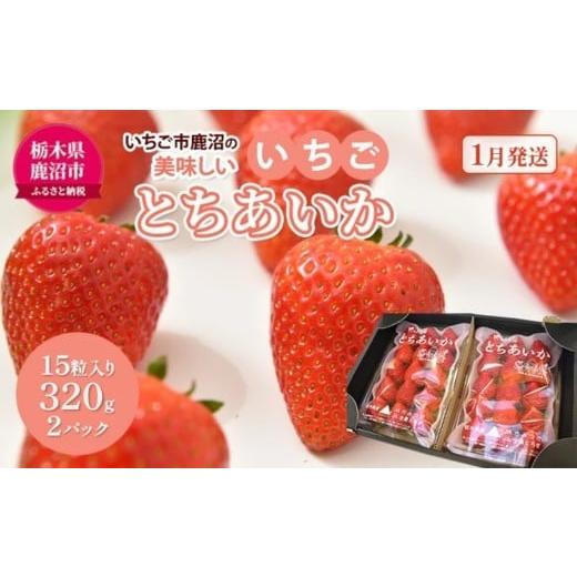 ふるさと納税 いちご 栃木県 鹿沼市 先行予約 いちご市 鹿沼の美味しい「い」「ち」「ご」とちあいか 15粒入り320g 2パック(1月発送) | イチゴ 苺 フルー…