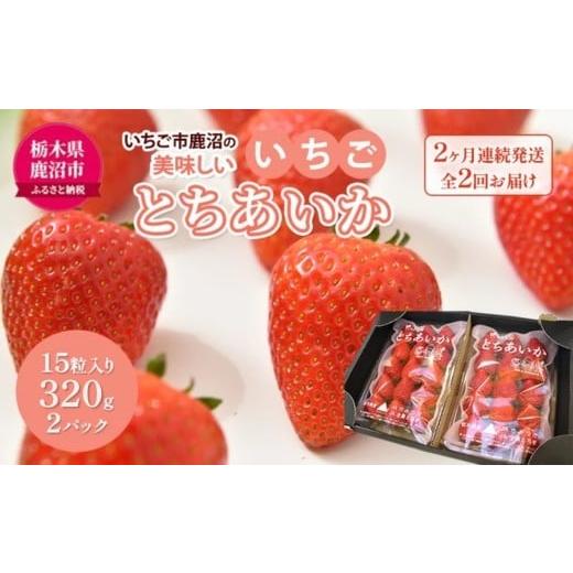 ふるさと納税 いちご 栃木県 鹿沼市 先行予約 定期便 いちご市 鹿沼の美味しい「い」「ち」「ご」 とちあいか 15粒入り320g 2パック 2ヶ月連続発送 全2回 お…