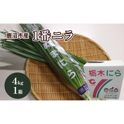 ふるさと納税 野菜類 栃木県 鹿沼市 先行予約 鹿沼市産 にら 1番ニラ 4kg 1箱 | にら ニラ 野菜 うまい 甘い 柔らかい風味 鹿沼市 かぬま 沖縄・離島への配…