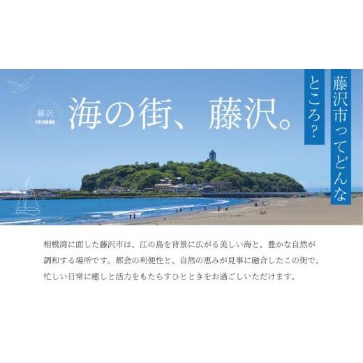 ふるさと納税 うどん 生・生涯めん 神奈川県 藤沢市 カレーうどんの出どころ 3個 仕かける（500g×3風呂敷き包み）ミシュラン2015年掲げる店 カレーうどん 素 つゆ 汁 出汁 …