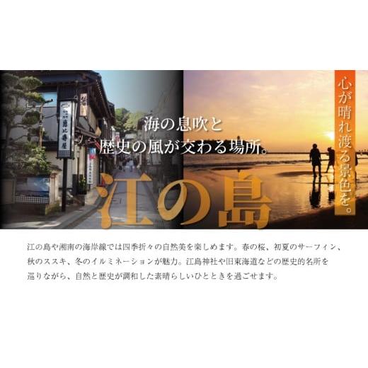 ふるさと納税 うどん 生・生涯めん 神奈川県 藤沢市 カレーうどんの出どころ 3個 仕かける（500g×3風呂敷き包み）ミシュラン2015年掲げる店 カレーうどん 素 つゆ 汁 出汁 …