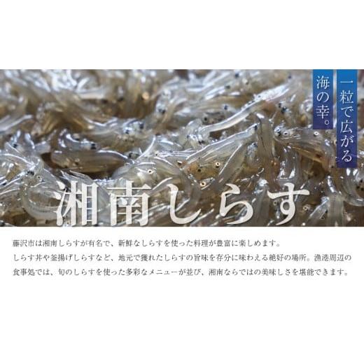 ふるさと納税 うどん 生・生涯めん 神奈川県 藤沢市 カレーうどんの出どころ 3個 仕かける（500g×3風呂敷き包み）ミシュラン2015年掲げる店 カレーうどん 素 つゆ 汁 出汁 …