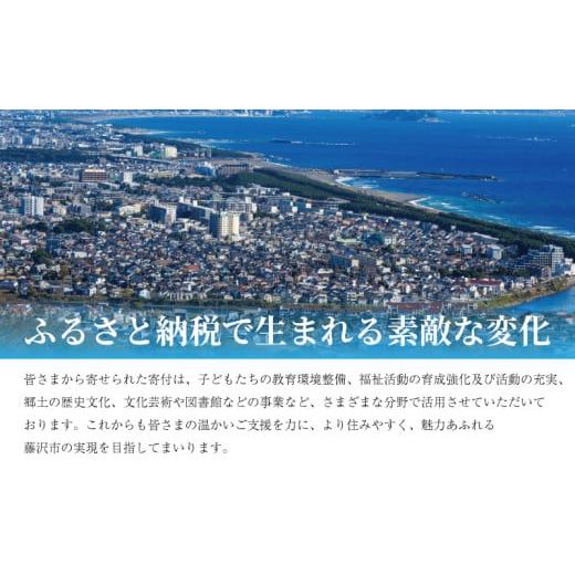 ふるさと納税 うどん 生・生涯めん 神奈川県 藤沢市 カレーうどんの出どころ 3個 仕かける（500g×3風呂敷き包み）ミシュラン2015年掲げる店 カレーうどん 素 つゆ 汁 出汁 …