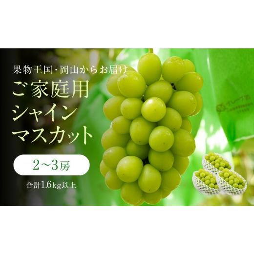 ふるさと納税 ぶどう マスカット 岡山県 岡山市 家庭用 シャインマスカット 2〜3房 合計1.6kg以上 産地直送 朝採れ ぶどう 葡萄 シャイン マスカット 岡山 Kaw…