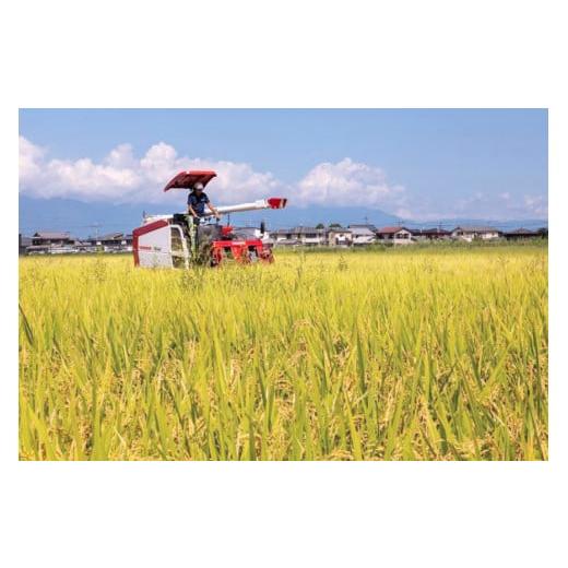 ふるさと納税 米 滋賀県 守山市 令和8年度産 先行予約 近江米『きらみずき』 化学肥料不使用米 20キロ（鮮度保持袋） DT-0013の画像