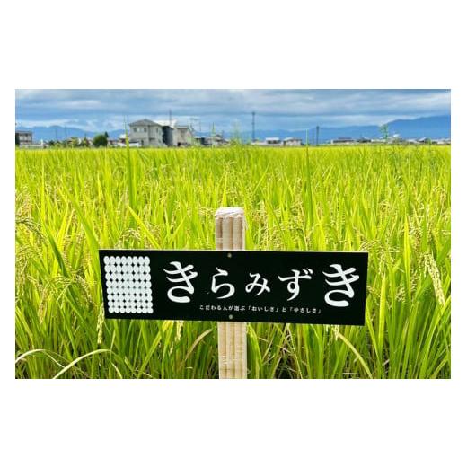 ふるさと納税 米 滋賀県 守山市 令和8年度産 先行予約 近江米『きらみずき』 化学肥料不使用米 20キロ（鮮度保持袋） DT-0013の画像