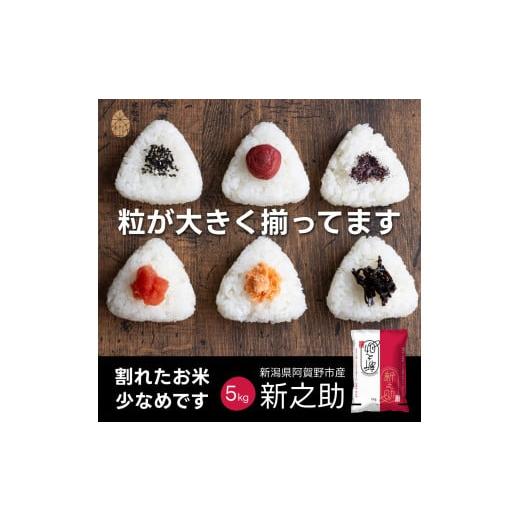 ふるさと納税 米 新潟県 阿賀野市 令和7年産新米 新潟県阿賀野市産 新之助 5kg 米杜氏 壱成 白米 精米 大粒 つや 光沢 弾力 芳醇 1H51017