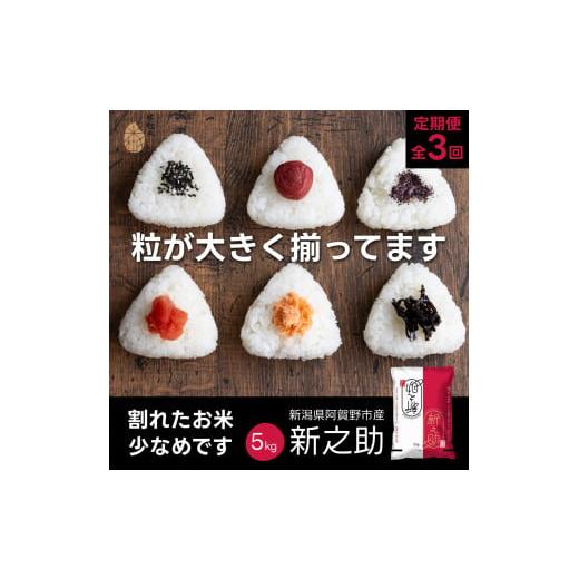 ふるさと納税 米 新潟県 阿賀野市 令和7年産新米 3か月定期便 新潟県阿賀野市産 新之助 5kg×3回 計 15kg 米杜氏 壱成 白米 精米 大粒 つや 光沢 弾力 芳醇 1…