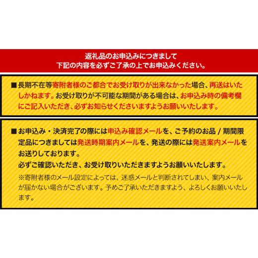 ふるさと納税 文房具・玩具 ボールペン 茨城県 結城市 ボールペン ローラーゲルGS02 2本セット+替芯5本セット ブラック オート株式会社《90日以内に出荷予定(…の画像