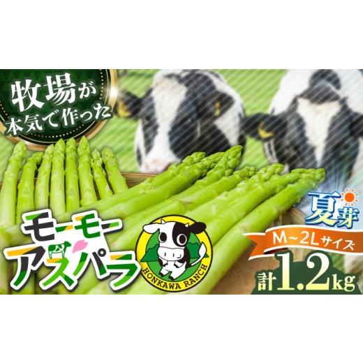 ふるさと納税 野菜類 アスパラガス 大分県 日田市 先行予約 モーモーアスパラ 夏芽 M / L / 2L セット 1.2kg(6月上旬から順次発送)酪農 牧場 こだわり ア…