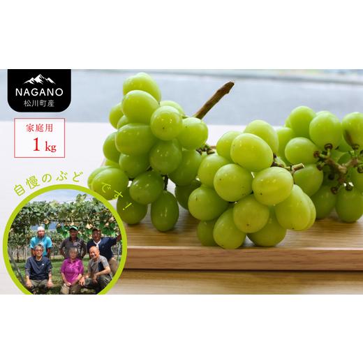ふるさと納税 ぶどう マスカット 長野県 松川町 KG17-26A 先行予約 ぶどう 農家直送 シャインマスカット 家庭用 約1kg/2026年9月下旬頃〜配送予定 // 長野…