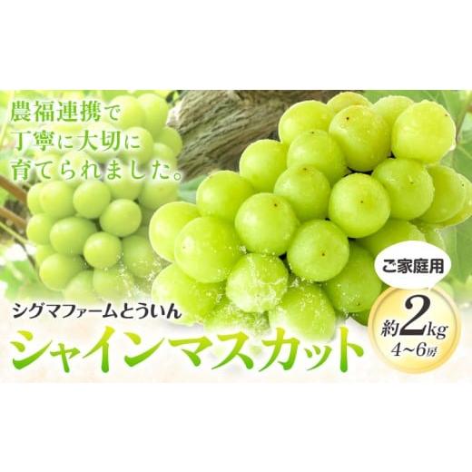 ふるさと納税 ぶどう マスカット 三重県 東員町 シャインマスカット 先行予約 寄附額見直しました ご家庭用 シャインマスカット 約2kg 4~6房 株式会社シグマサ…