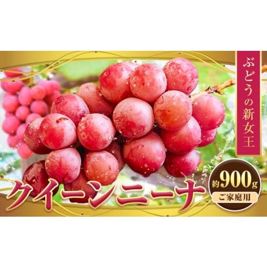 ふるさと納税 果物類 ぶどう 三重県 東員町 ぶどう 寄附額見直しました 先行予約 クイーンニーナ 約900g 株式会社シグマサポート[9月中旬-11月上旬頃出荷]三…