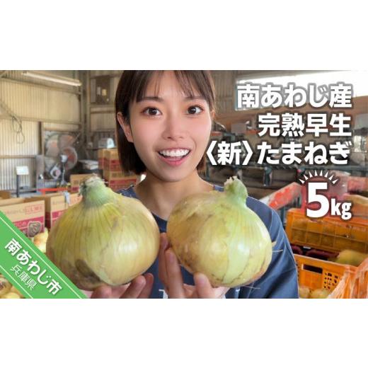 ふるさと納税 野菜類 玉ねぎ 兵庫県 南あわじ市  別所冷蔵 南あわじ産 完熟早生新たまねぎ ５kg  配送５月上旬からの画像
