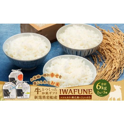 ふるさと納税 米 コシヒカリ 新潟県 村上市 令和7年産米 牛とつくったお米 食べ比べセット「IWAFUNE」計6kg(新潟県村上市岩船産コシヒカリ・新之助・こしい…