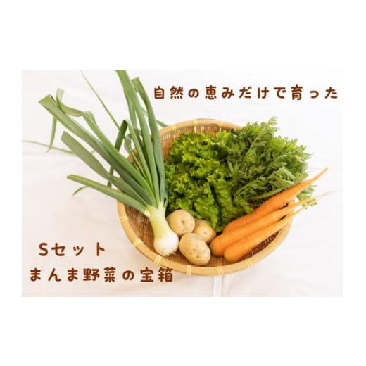 ふるさと納税 セット・詰合せ 徳島県 石井町 010-095 まんま野菜の宝箱セット Sの画像