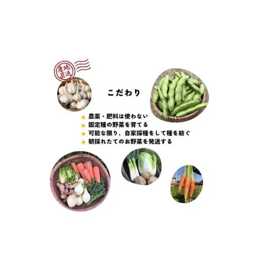 ふるさと納税 セット・詰合せ 徳島県 石井町 010-095 まんま野菜の宝箱セット Sの画像