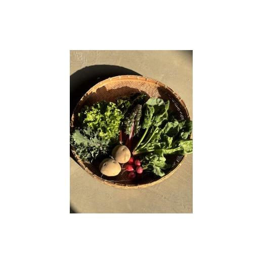 ふるさと納税 セット・詰合せ 徳島県 石井町 010-095 まんま野菜の宝箱セット Sの画像