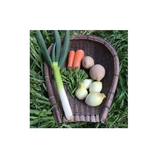 ふるさと納税 セット・詰合せ 徳島県 石井町 010-095 まんま野菜の宝箱セット Sの画像