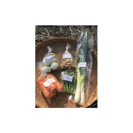 ふるさと納税 セット・詰合せ 徳島県 石井町 010-095 まんま野菜の宝箱セット Sの画像