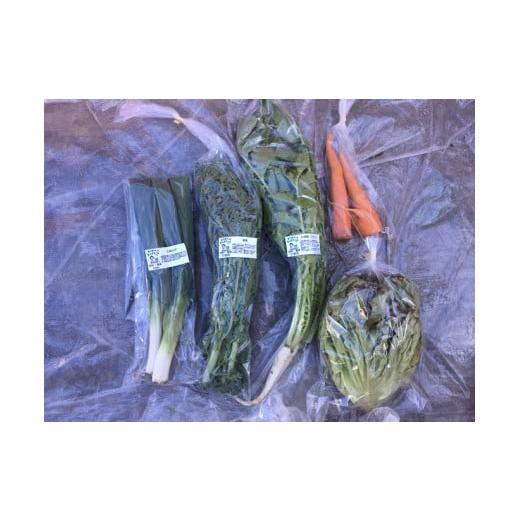 ふるさと納税 セット・詰合せ 徳島県 石井町 010-095 まんま野菜の宝箱セット Sの画像