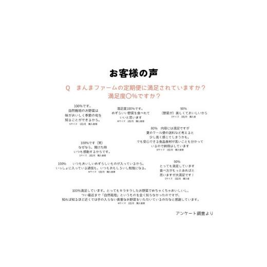 ふるさと納税 セット・詰合せ 徳島県 石井町 010-095 まんま野菜の宝箱セット Sの画像