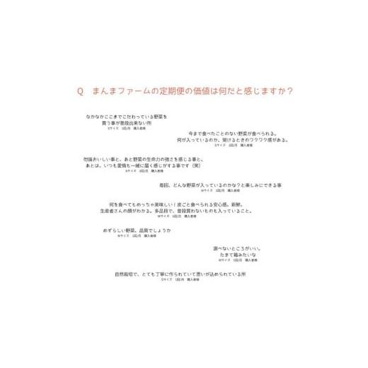 ふるさと納税 セット・詰合せ 徳島県 石井町 010-095 まんま野菜の宝箱セット Sの画像