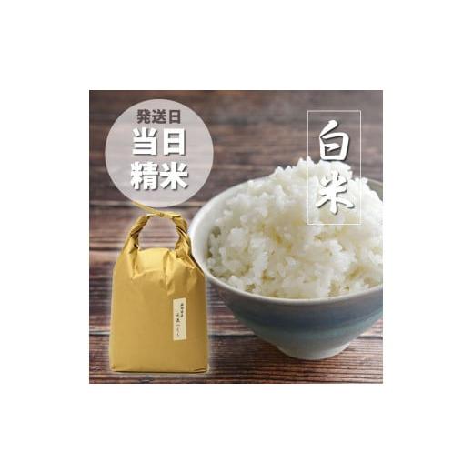 ふるさと納税 米 福岡県 筑前町 令和7年産 福岡県産 特A 評価のお米「元気つくし」5kg×1袋 白米 米 お米 精米 ブランド米 白米 ご飯 ごはん 元気つくし ライ…