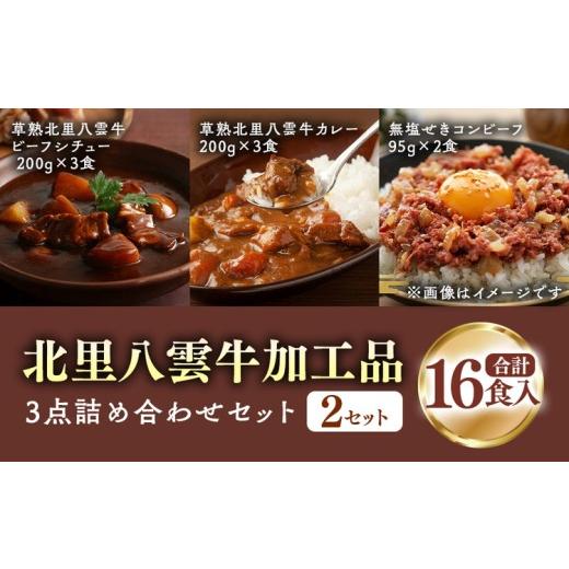 ふるさと納税 肉 ハンバーグ 北海道 八雲町 北里八雲牛 加工品3点詰め合わせ(2セット) 沖縄・離島への配送不可_1