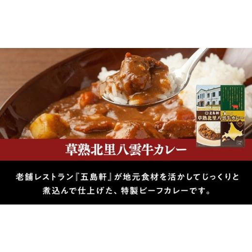 ふるさと納税 肉 ハンバーグ 北海道 八雲町 北里八雲牛 加工品3点詰め合わせ(2セット) 沖縄・離島への配送不可_3