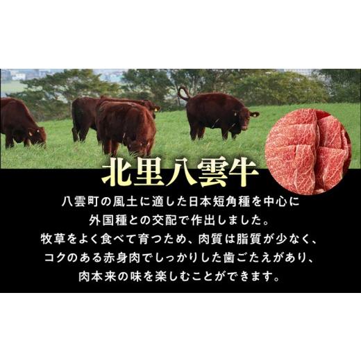 ふるさと納税 肉 ハンバーグ 北海道 八雲町 北里八雲牛 加工品3点詰め合わせ(2セット) 沖縄・離島への配送不可_5