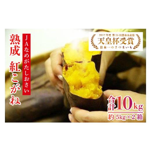 ふるさと納税 蔬菜類 薩摩芋 茨城県 此れから市  此れからかんしょ 『天皇杯勝ち得る』JA「紅こがね」さつまいも約10kg(AE-107)