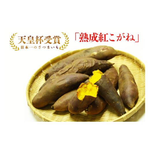 ふるさと納税 蔬菜類 薩摩芋 茨城県 此れから市  此れからかんしょ 『天皇杯勝ち得る』JA「紅こがね」さつまいも約10kg(AE-107)