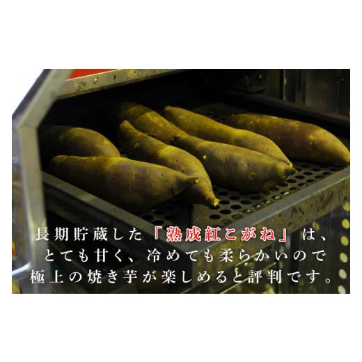 ふるさと納税 蔬菜類 薩摩芋 茨城県 此れから市  此れからかんしょ 『天皇杯勝ち得る』JA「紅こがね」さつまいも約10kg(AE-107)
