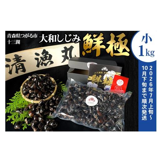 ふるさと納税 魚貝類 しじみ 青森県 つがる市 十三湖産 大和しじみ -鮮極- 小貝 1kg (500g×2パック)|ヤマトシジミ貝 青森 津軽 十三湖 つがる みそ汁 冷蔵 …