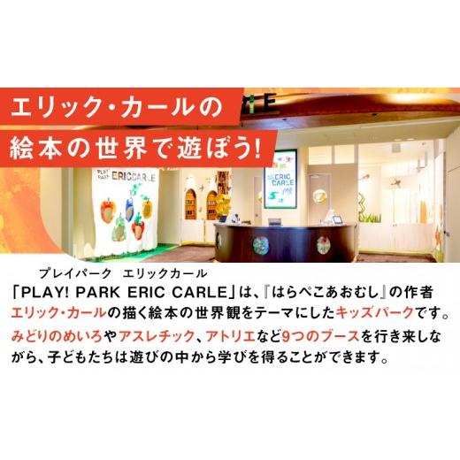 ふるさと納税 入場券・優待券 東京都 世田谷区 PLAY PARK ERIC CARLE 入場チケット 2枚（大人2名・子ども2名 計4名様分）体験 チケット 入場券 入場チケット …の画像